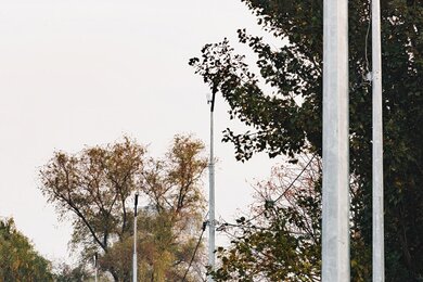 Опоры уличного освещения на фоне деревьев и пешеходной дорожки