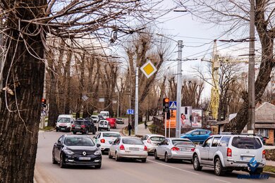 Опори контактної мережі біля проїжджої частини в місті вдень