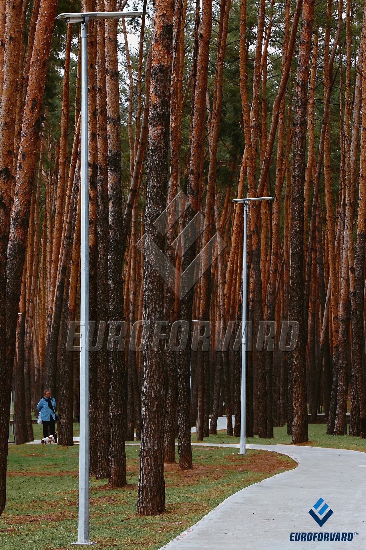 Опори паркового освітлення зблизька