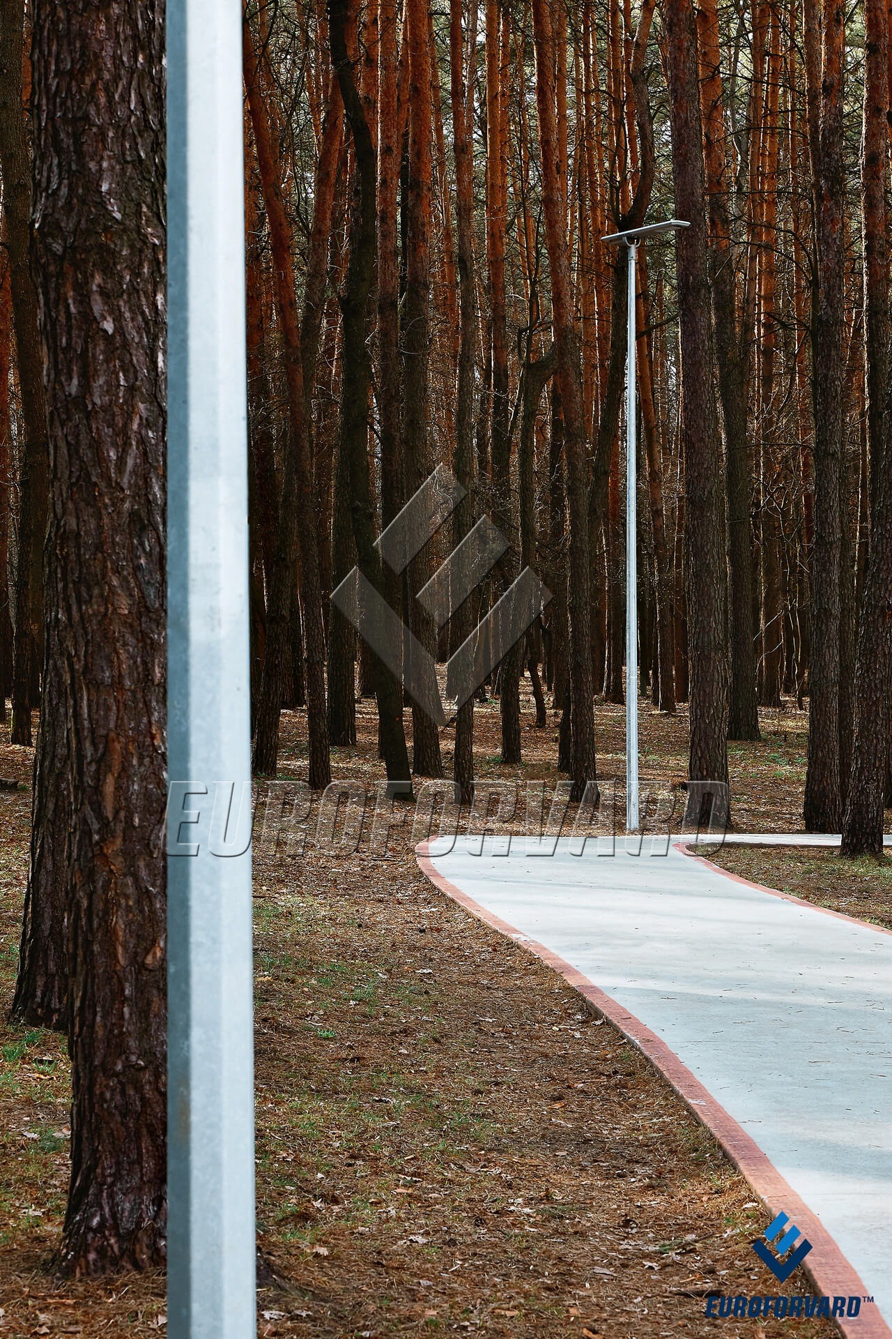 Опори паркового освітлення біля паркової доріжки