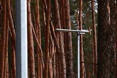 Опори паркового освітлення серед хвойних дерев парку