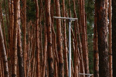 Опоры паркового освещения вдоль парковой аллеи