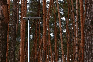Опоры паркового освещения возле дорожки среди хвойного парка