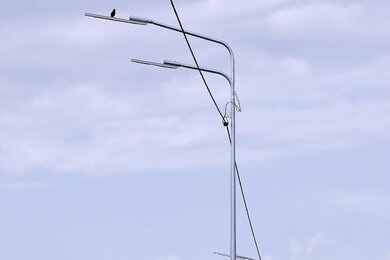 Опоры уличного освещения возле автомобильной дороги днём