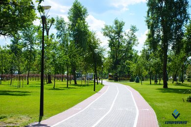 Опори паркового освітлення на фоні дерев в парку