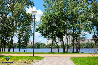Опори паркового освітлення біля водойми