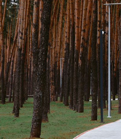 Парковое освещение г.Киев